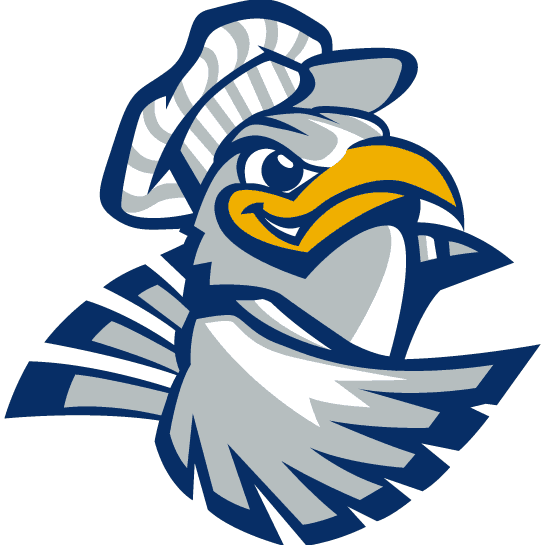 Chattanooga Mocs 2001-2007 Alternate Logo DIY iron on transfer (heat transfer)